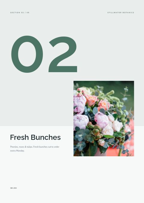 Clean Catalog — Collection Divider page