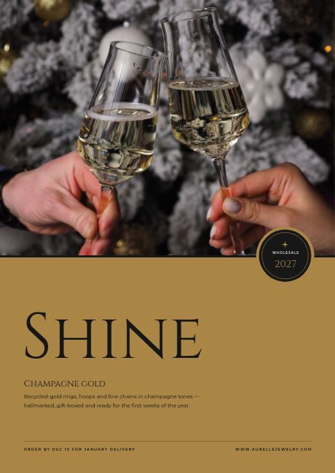 New Year Collection — Cover · poster page