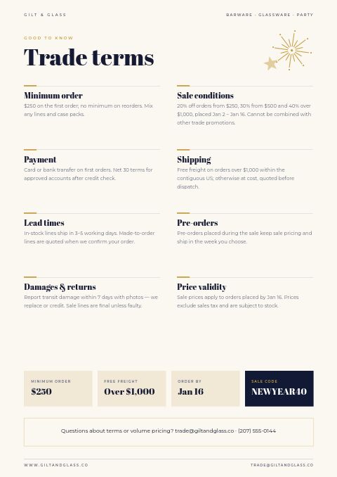 New Year Sale — Notes / Terms page