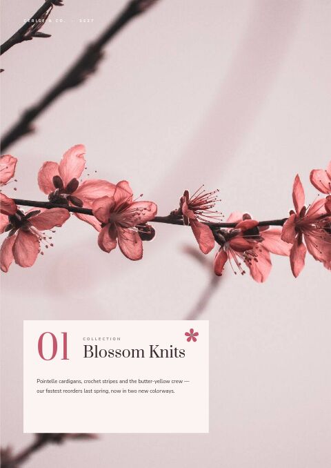 Spring Collection — Collection Divider page