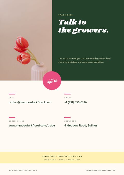 Spring Sale — Contact / Info page