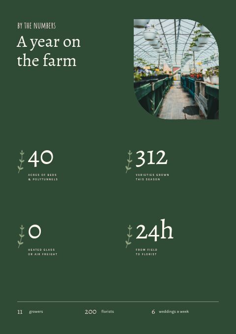 Garden & Floral — By the Numbers page