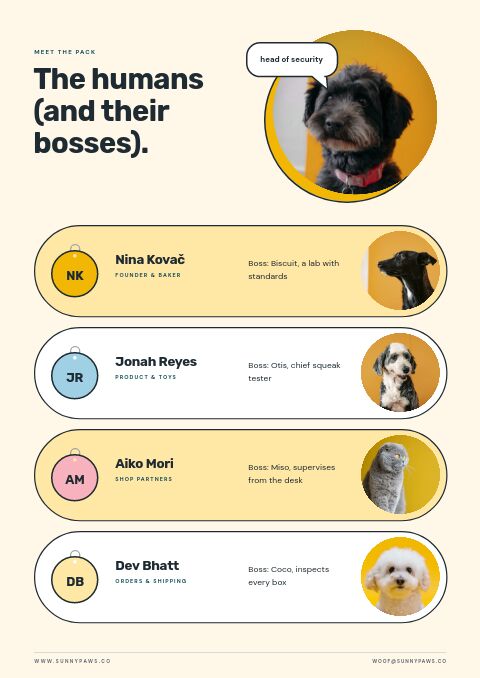 Pet Supplies — Meet the Team page