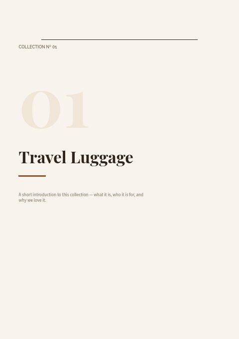 Bags & Luggage — Divider page