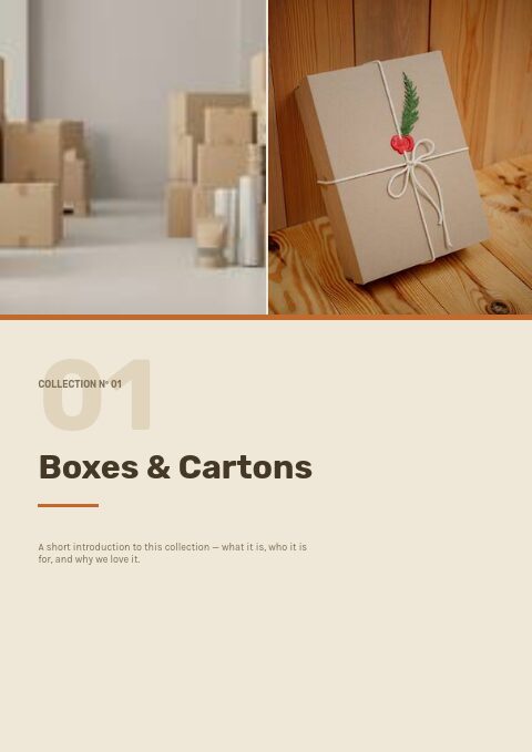 Packaging — Divider page