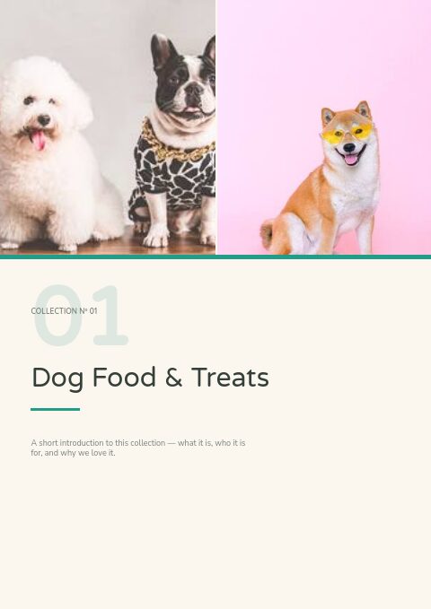 Pet Supplies — Divider page